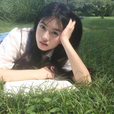 圣诞王子：皇家婚礼封面