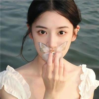 我的朋友们封面